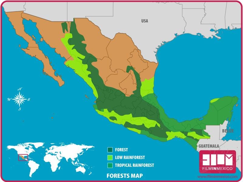 mapa de México bosques
