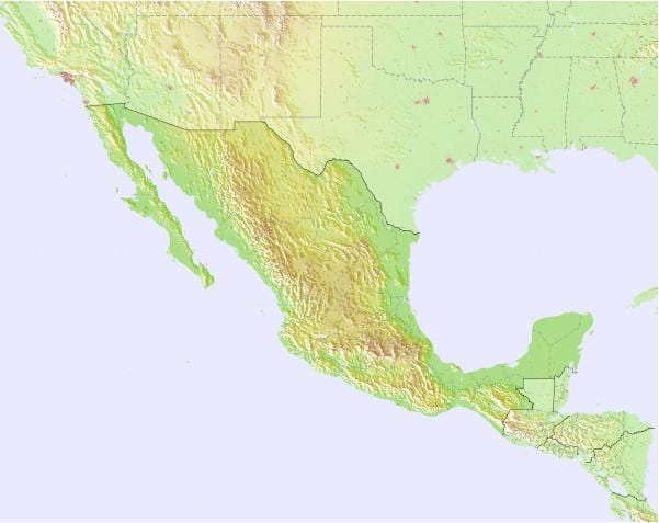 mapa de México predición