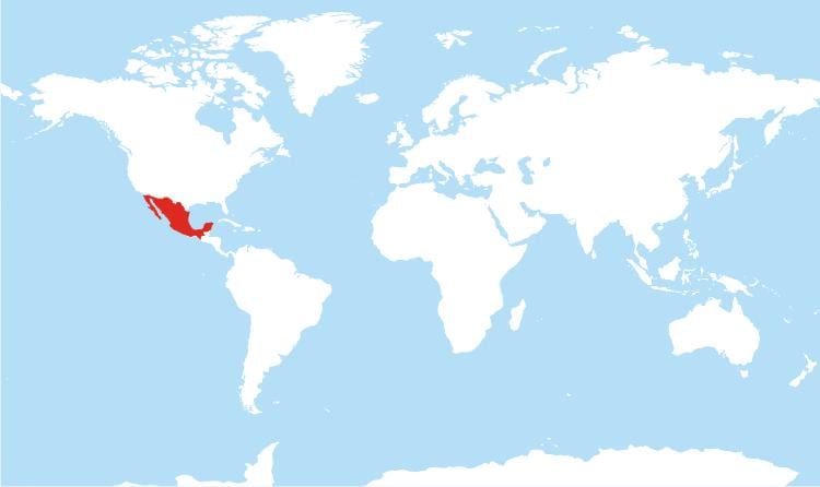mapa de México global