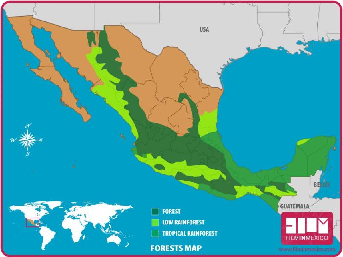 mapa de México bosques