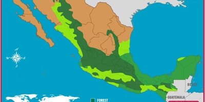 Mapa de México bosques