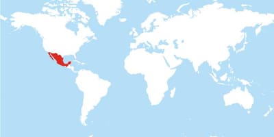 Localización de México no mapa do mundo